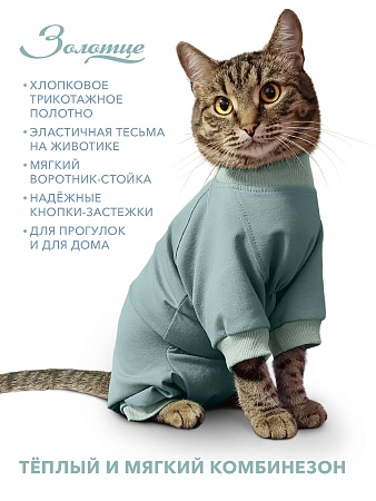 Одежда для кошек